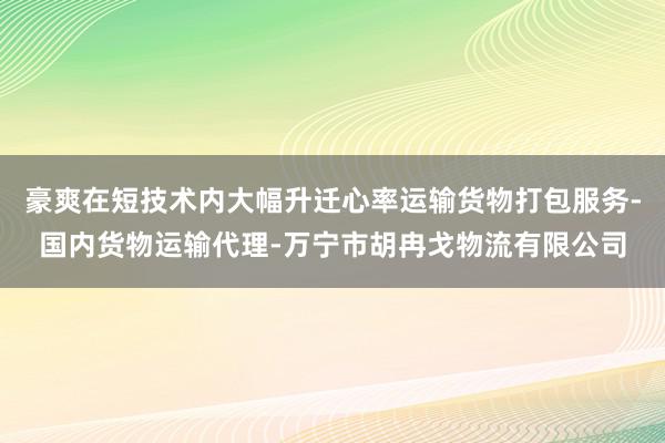 豪爽在短技术内大幅升迁心率运输货物打包服务-国内货物运输代理-万宁市胡冉戈物流有限公司